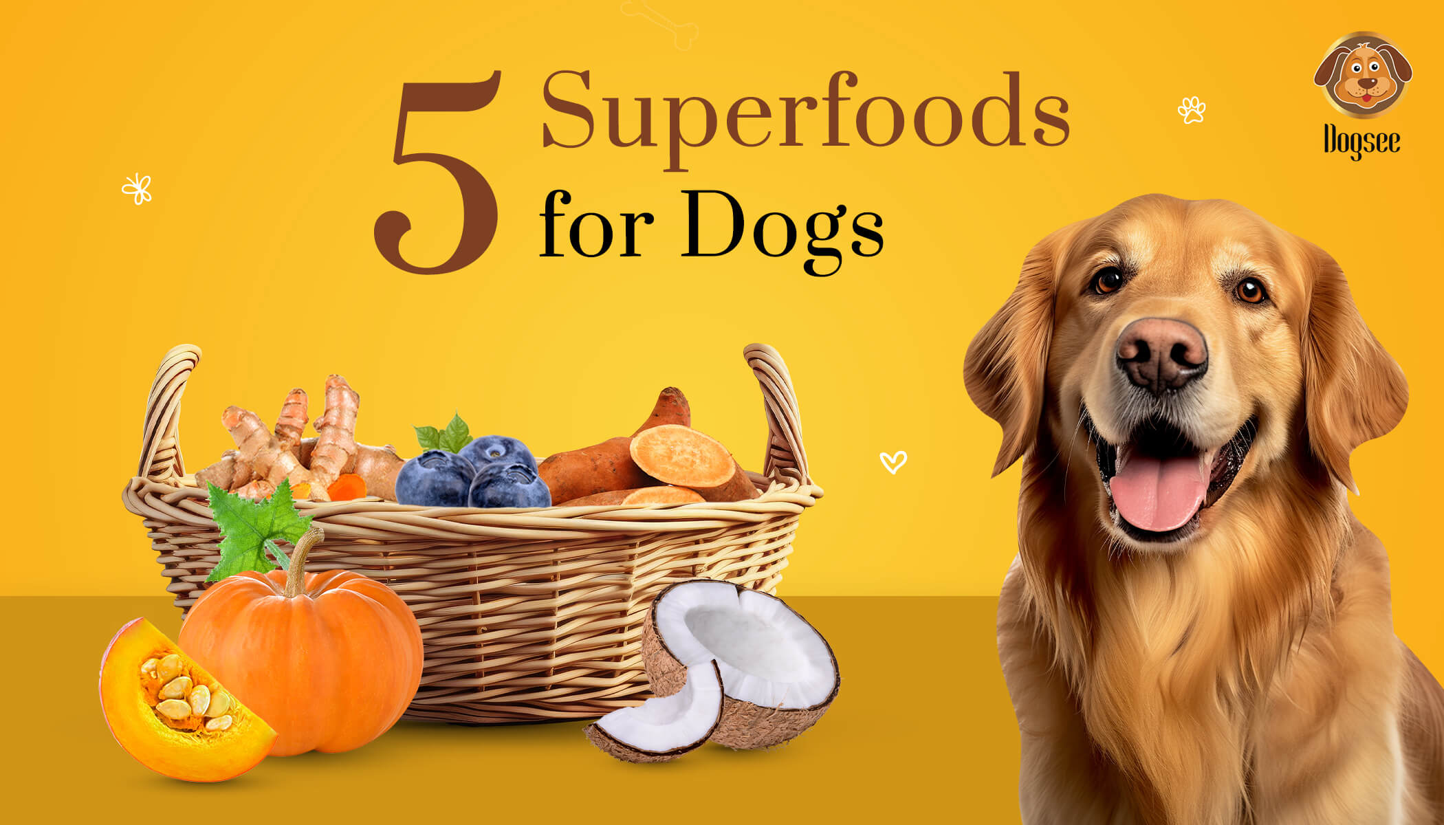 5 Superfoods for Dogs