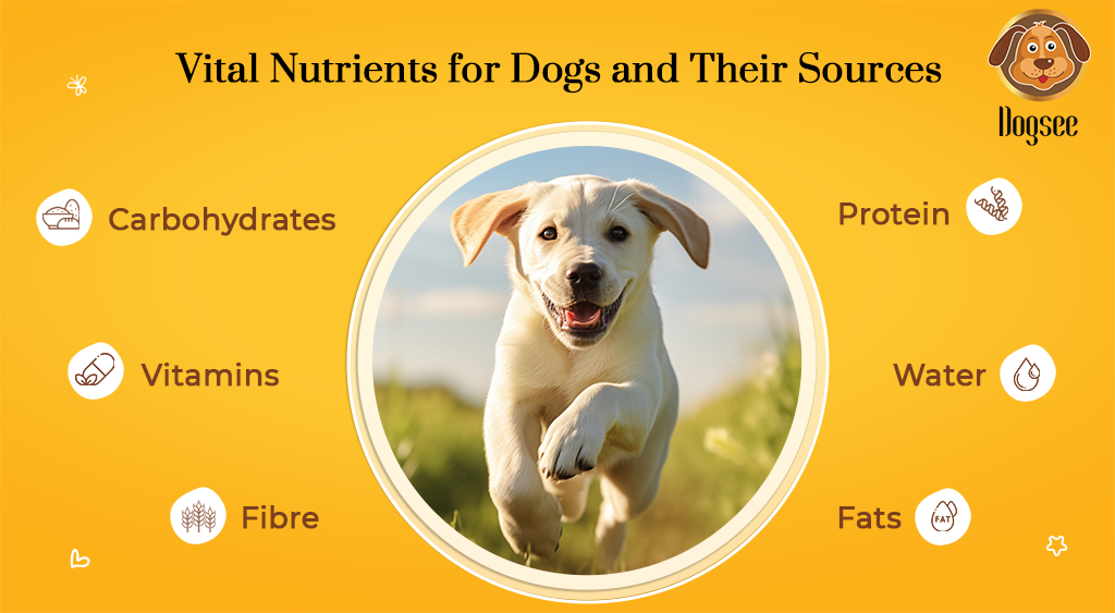 Vital Nutrients for Dogs and Their Sources