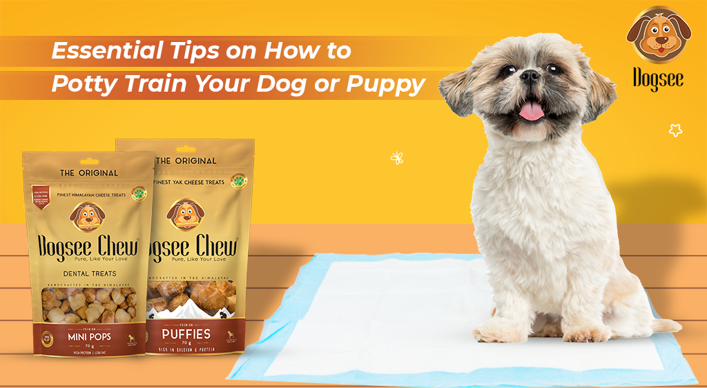 Essential Potty Training Tips For Your Dog 