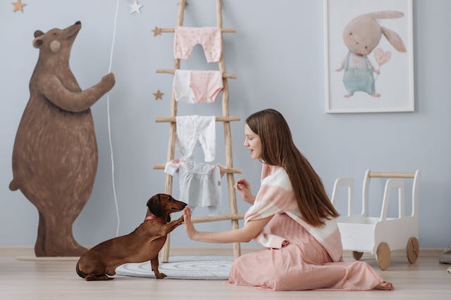 woman training her dog