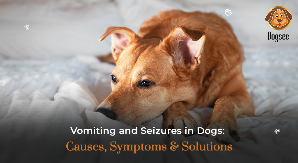 Vomiting and Seizures in Dogs