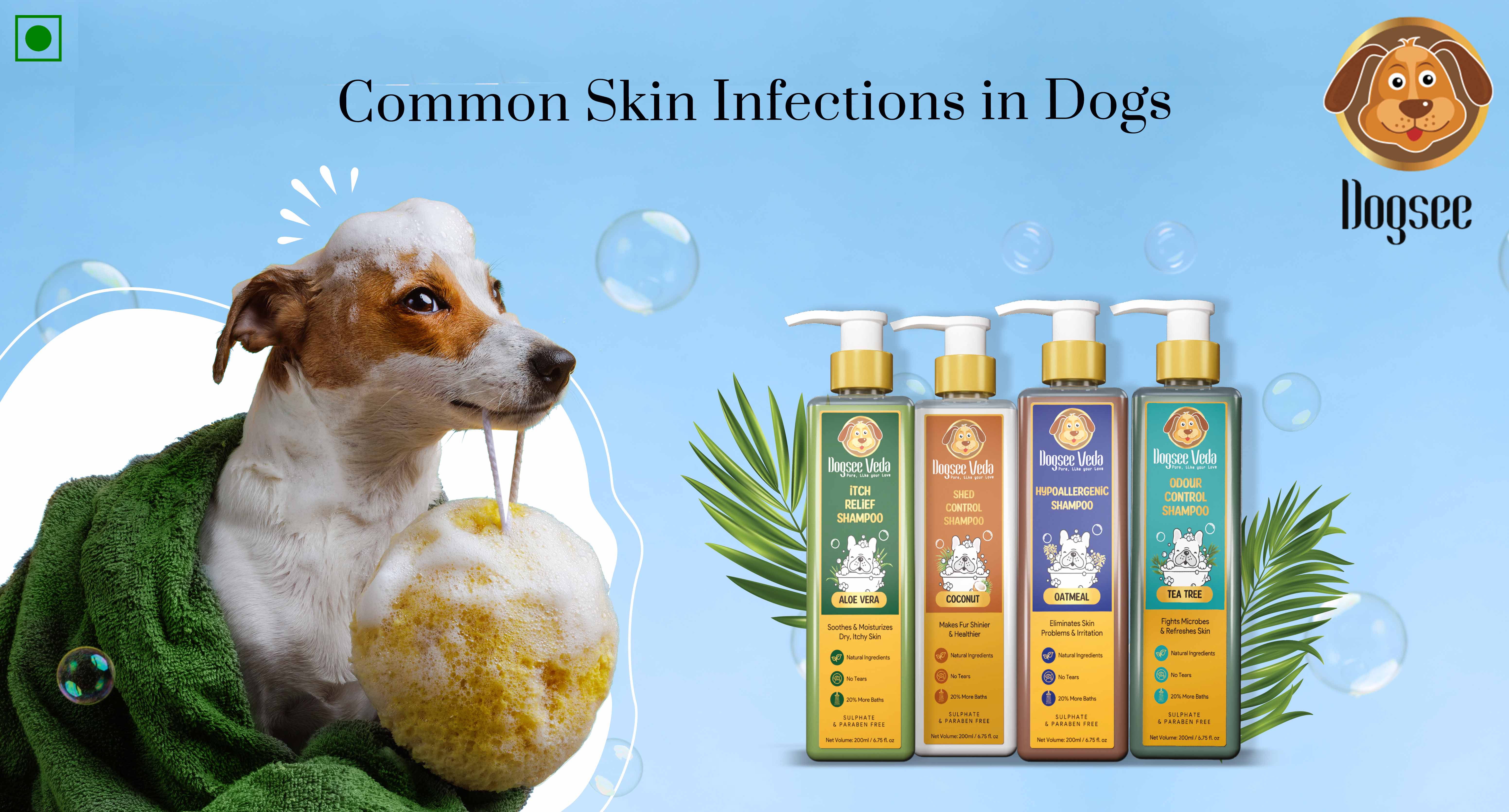 Common Skin Infections in Dogs