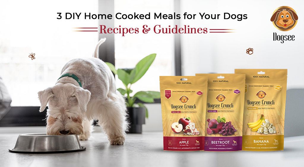  DIY Home Cooked Meals for Your Dogs