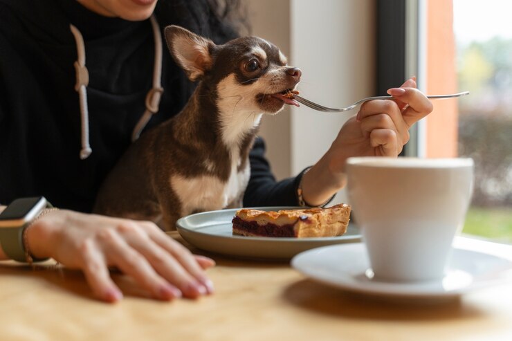 Feeding honey to dogs sales