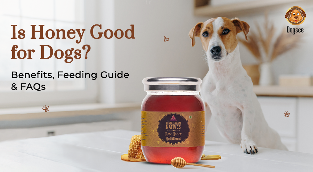 Honey Good for Dogs