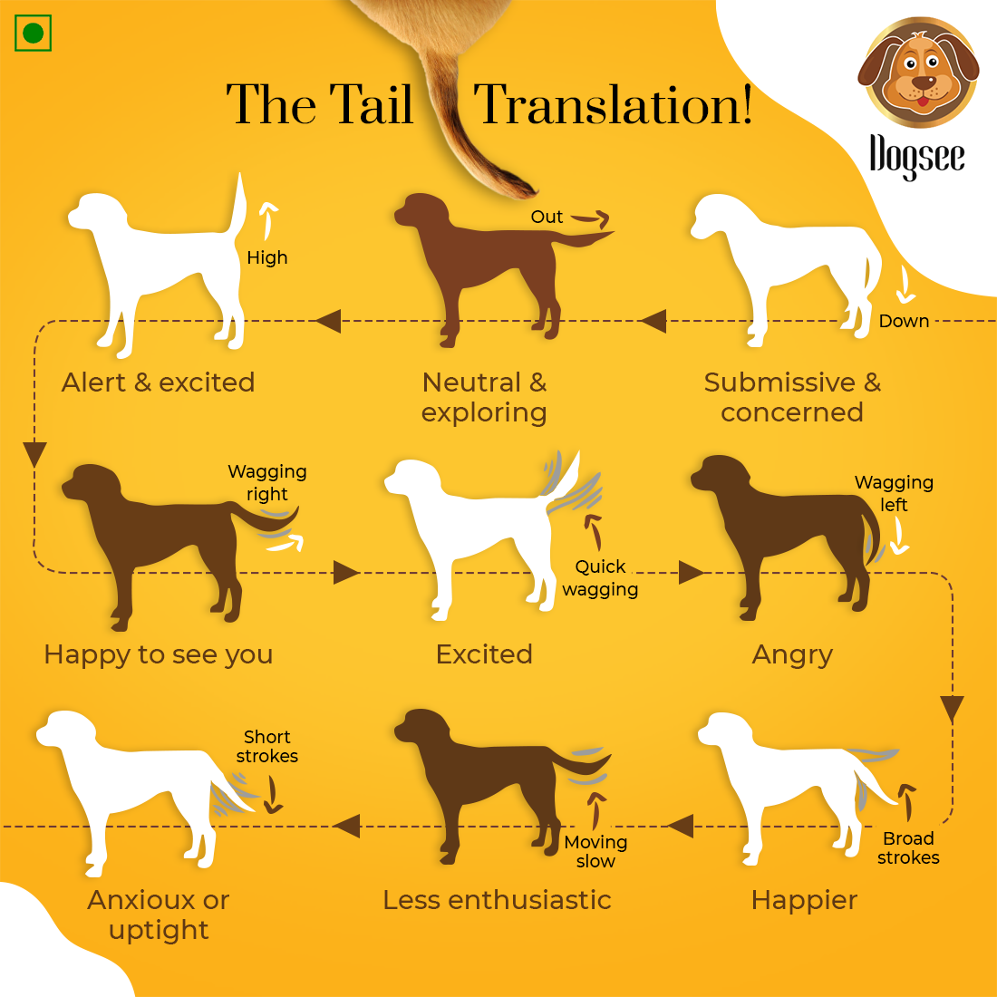 tail tells