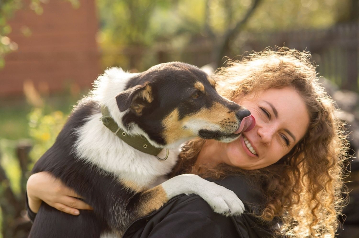 Dogs lick people face