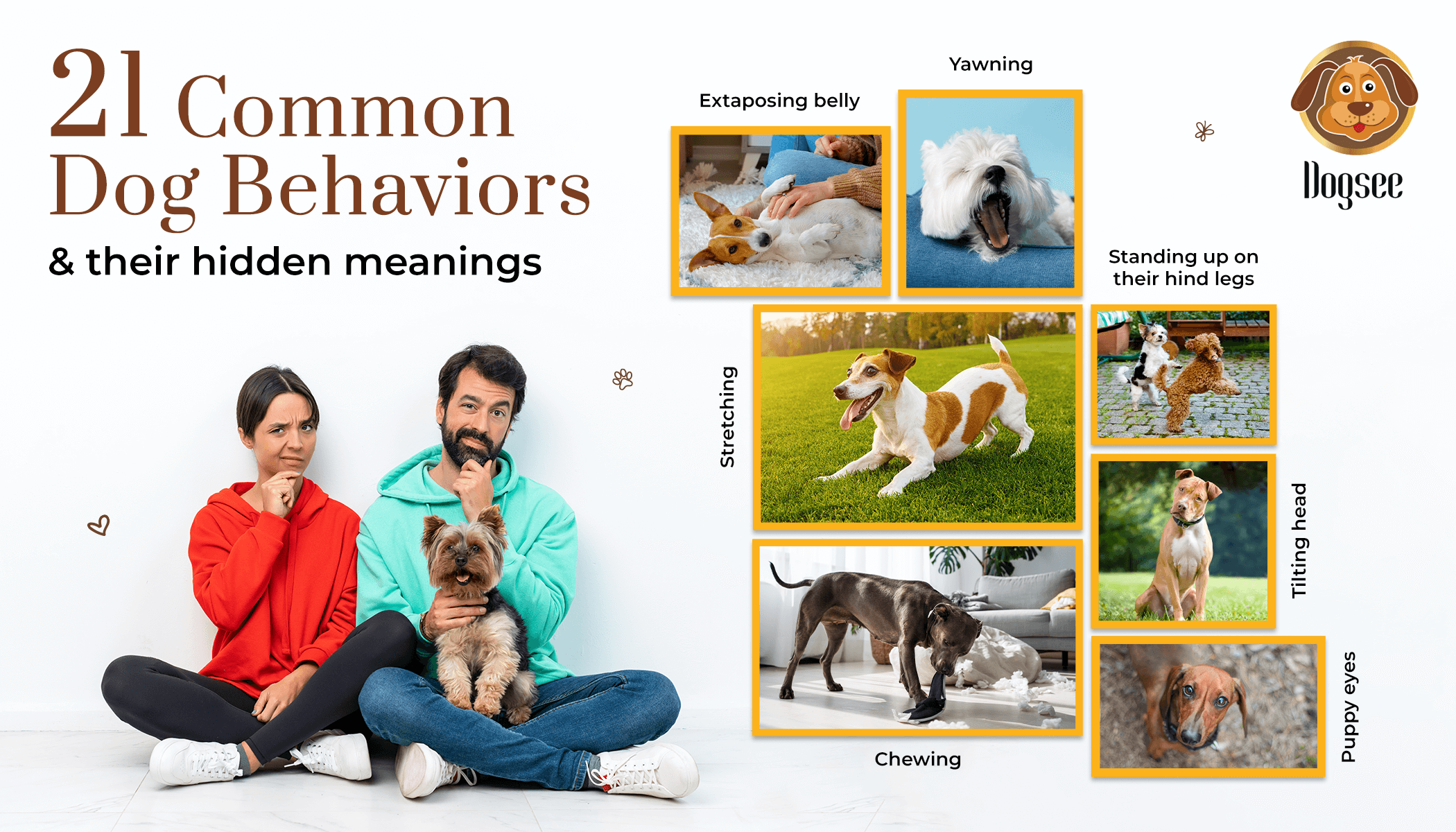 Common Dog Behaviors & their Hidden Meanings