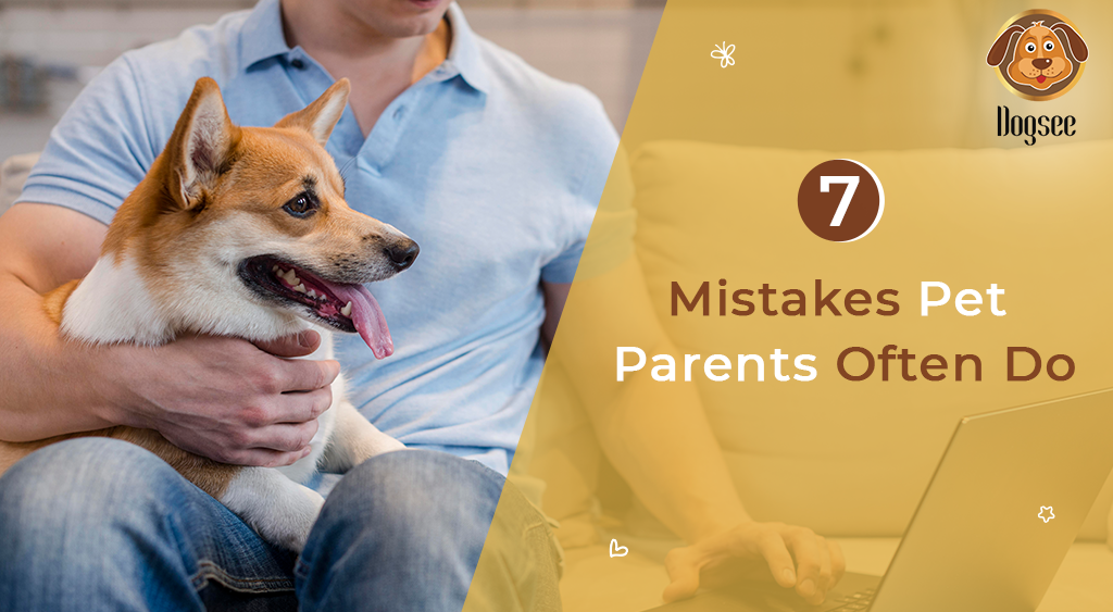7 Mistakes Pet Parents Often Do