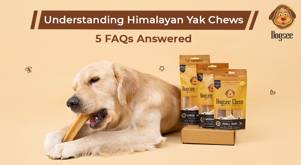 Understanding Himalayan Yak Chew