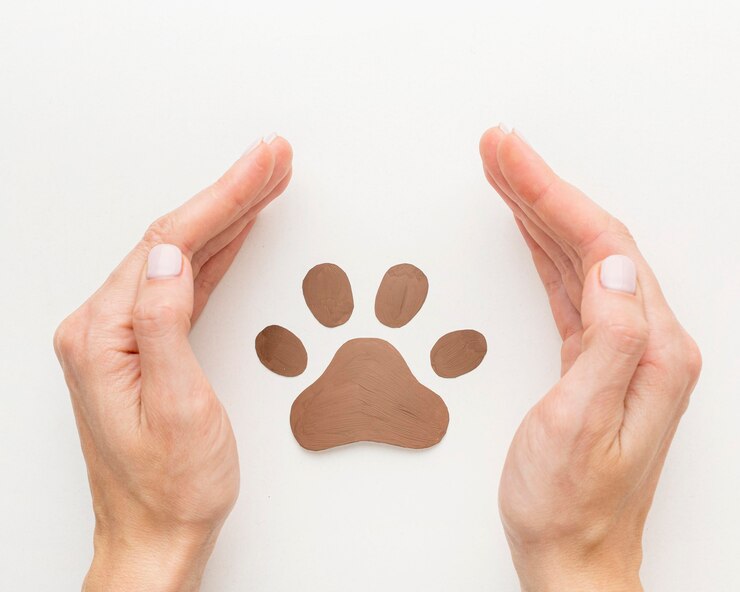 hands protecting paw print