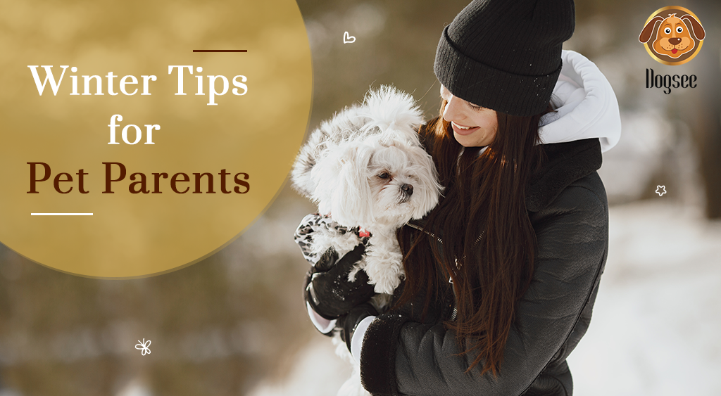 Winter Tips for Pet Parents