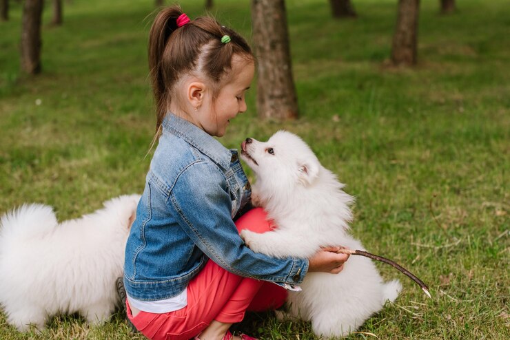 dogs are playing with little girl