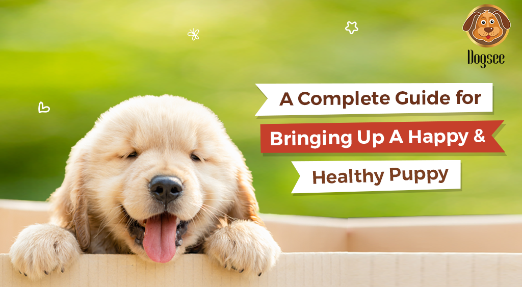 A Complete Guide for Bringing Up a Happy and Healthy Puppy
