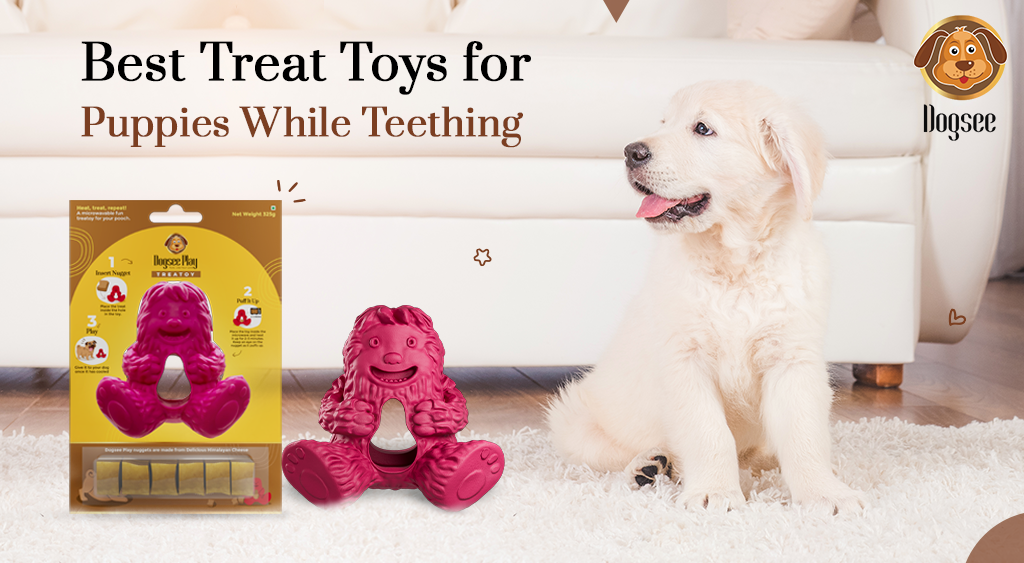 Best Treat Toys for Puppies While Teething