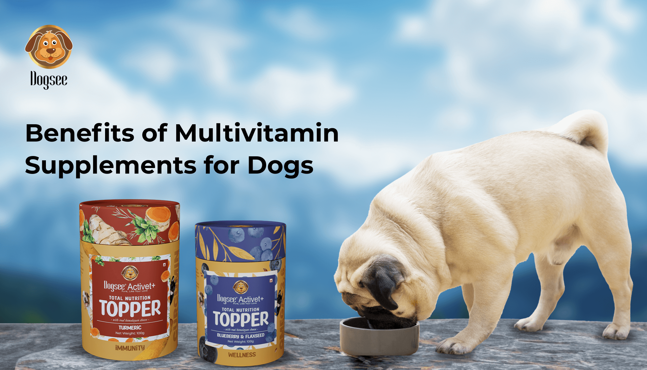 Benefits of Multivitamin Supplements for Dogs