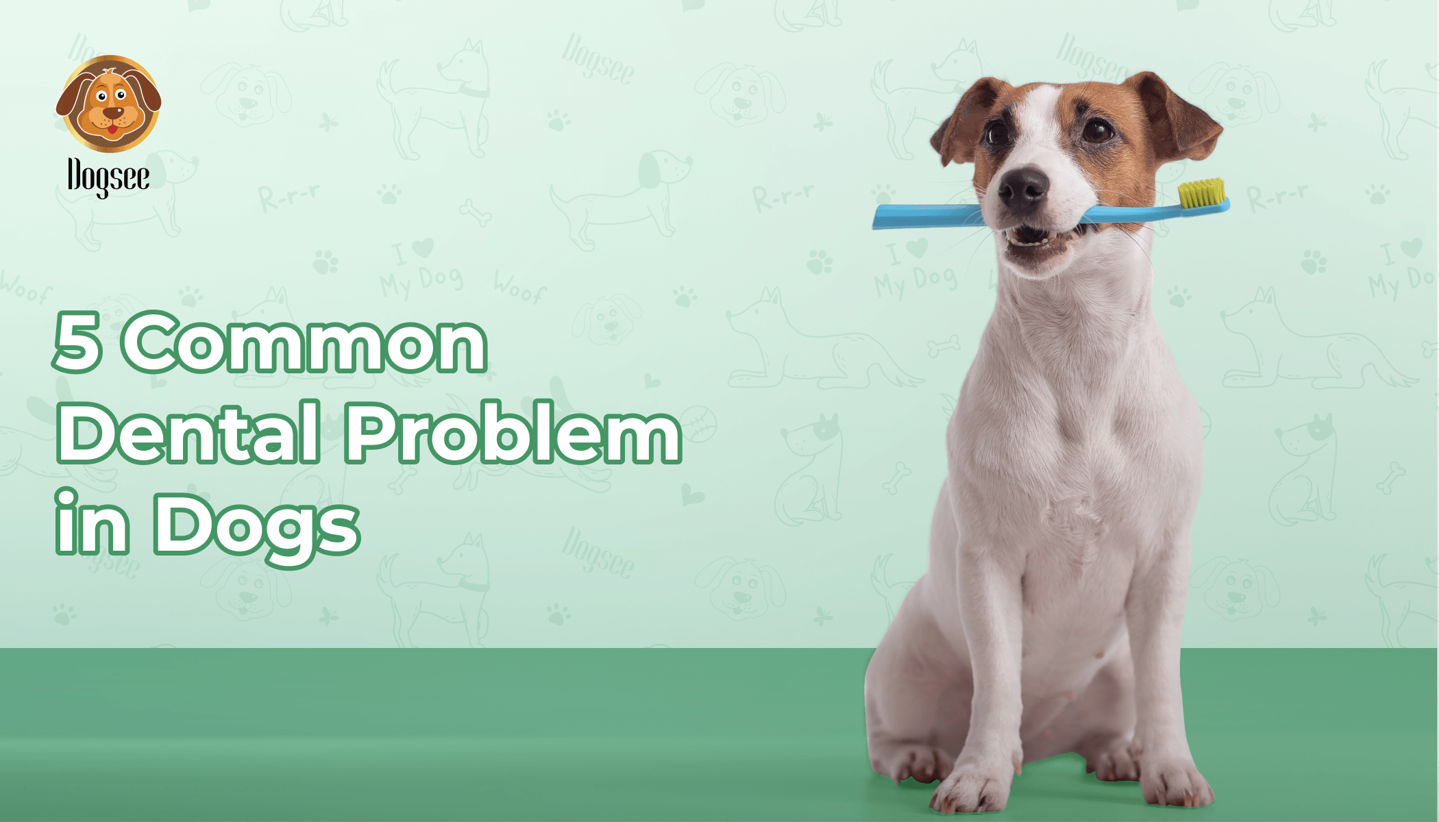 Common Dental Problems in Dogs