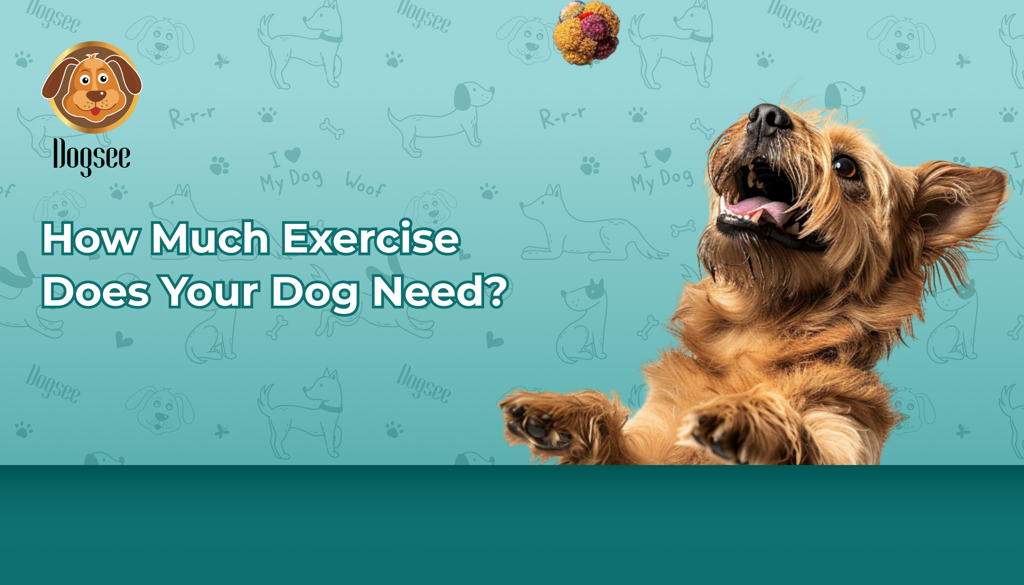 Exercise Does Your Dog