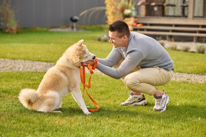 smart dog with leash near country house