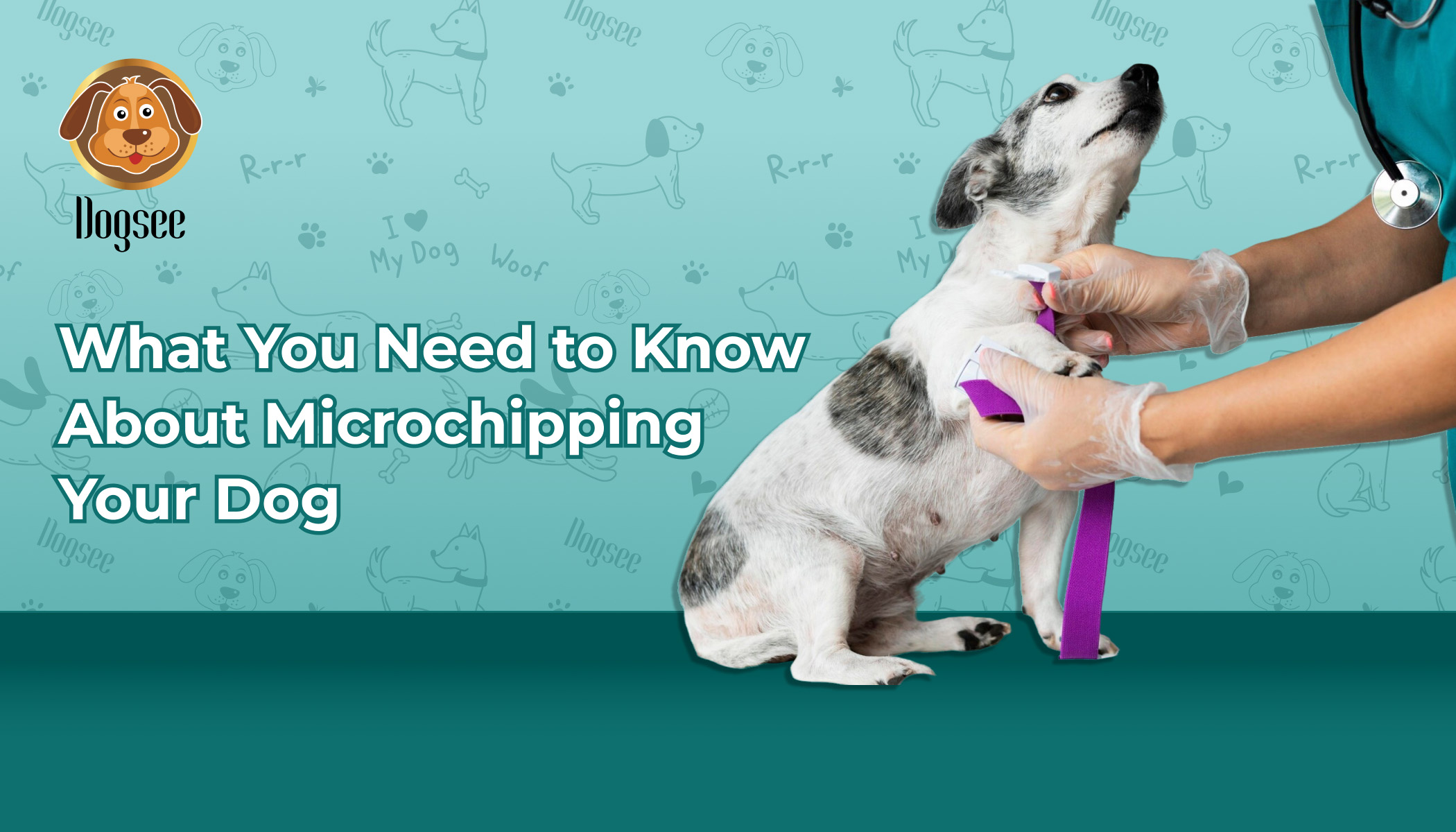 microchipping your dog