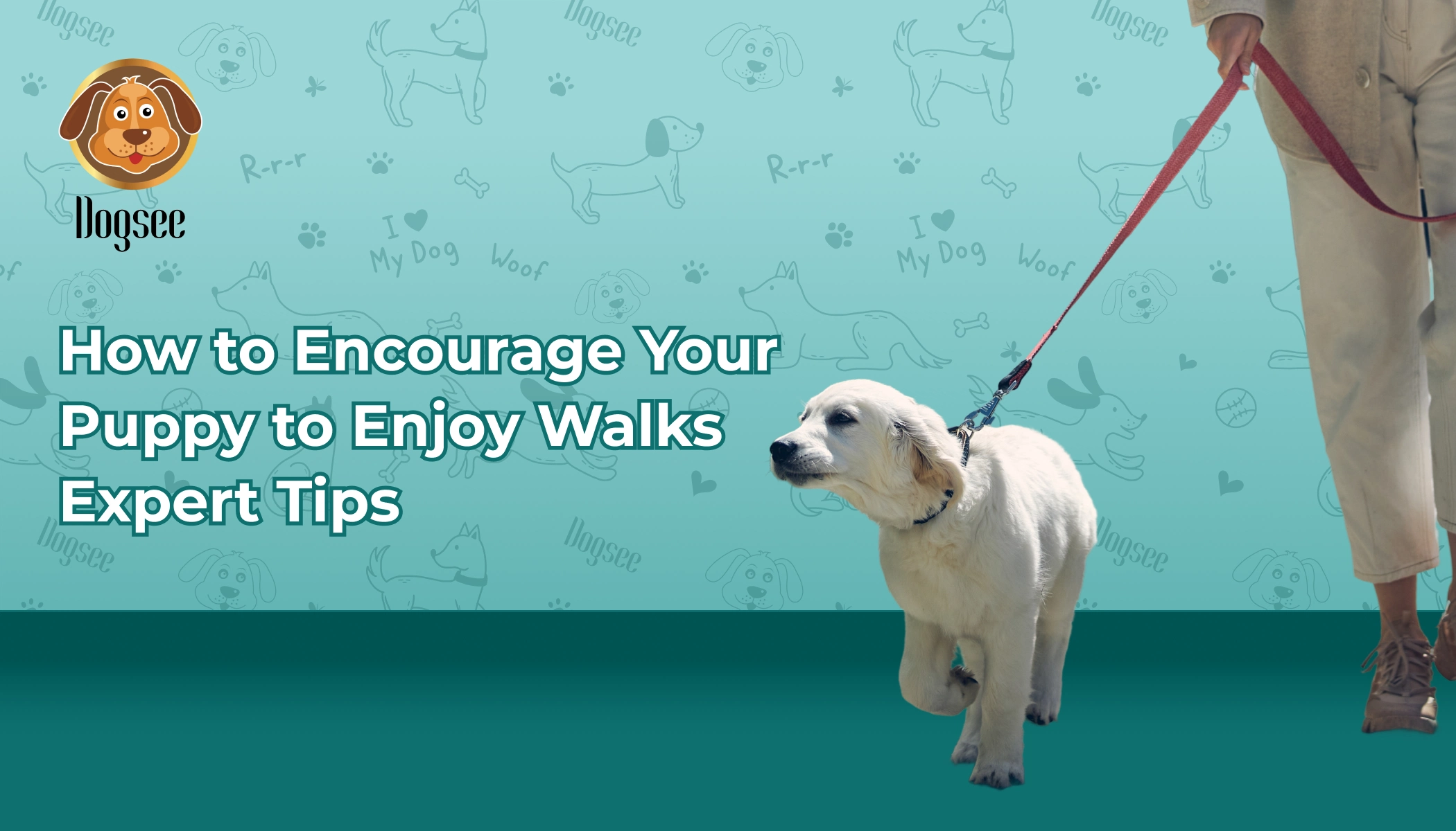 Encourage Your Puppy to Enjoy Walks