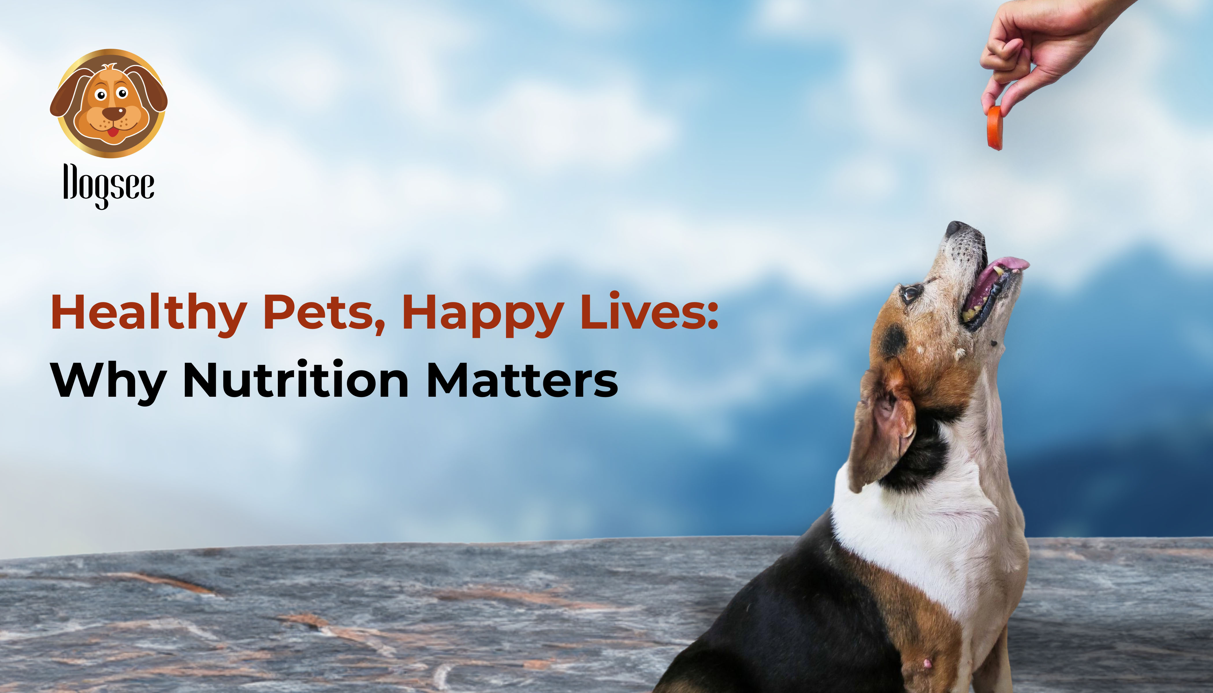 Healthy Pets, Happy Lives: Why Nutrition Matters