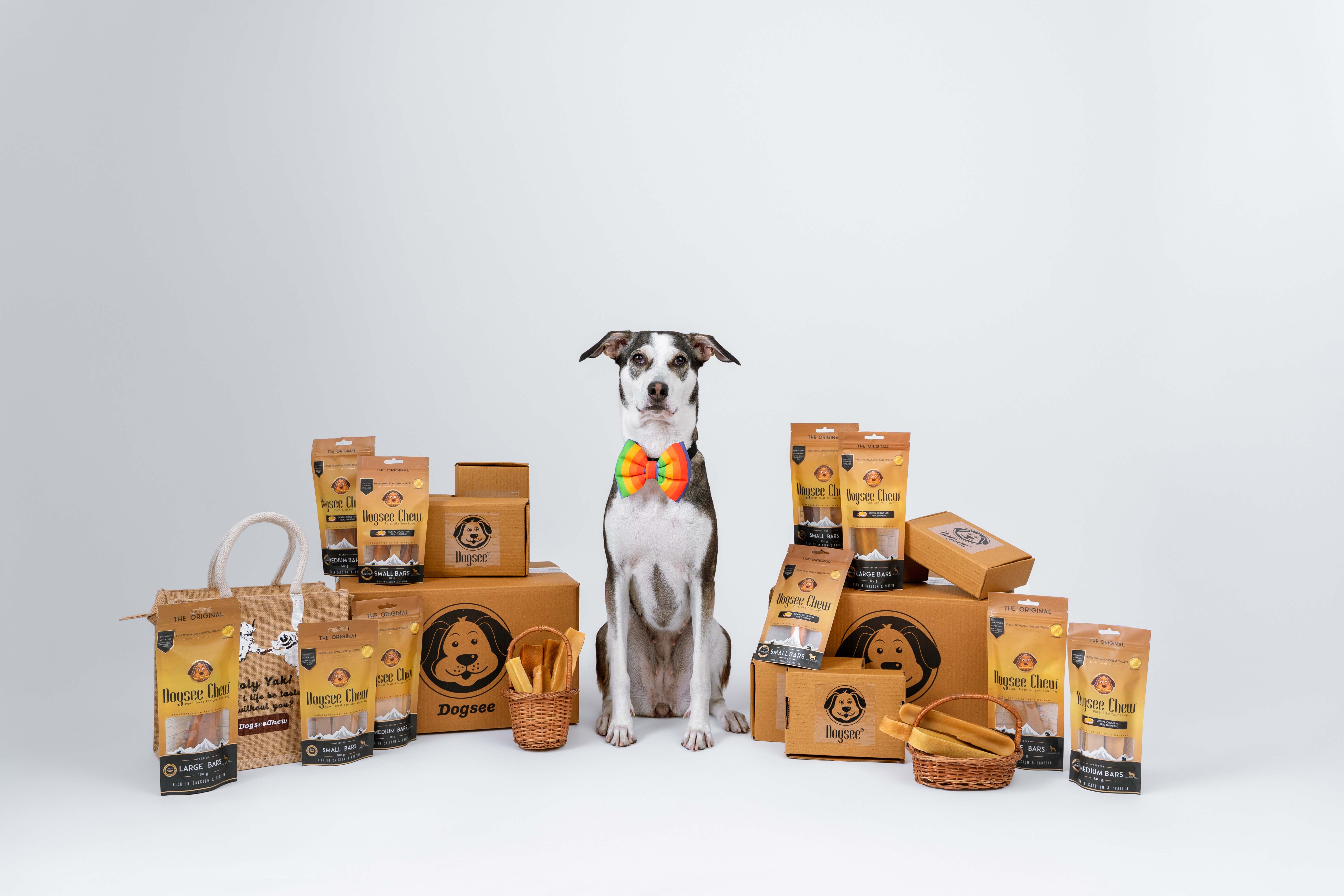 dog sitting with dogsee product dog sitting with dogsee product
