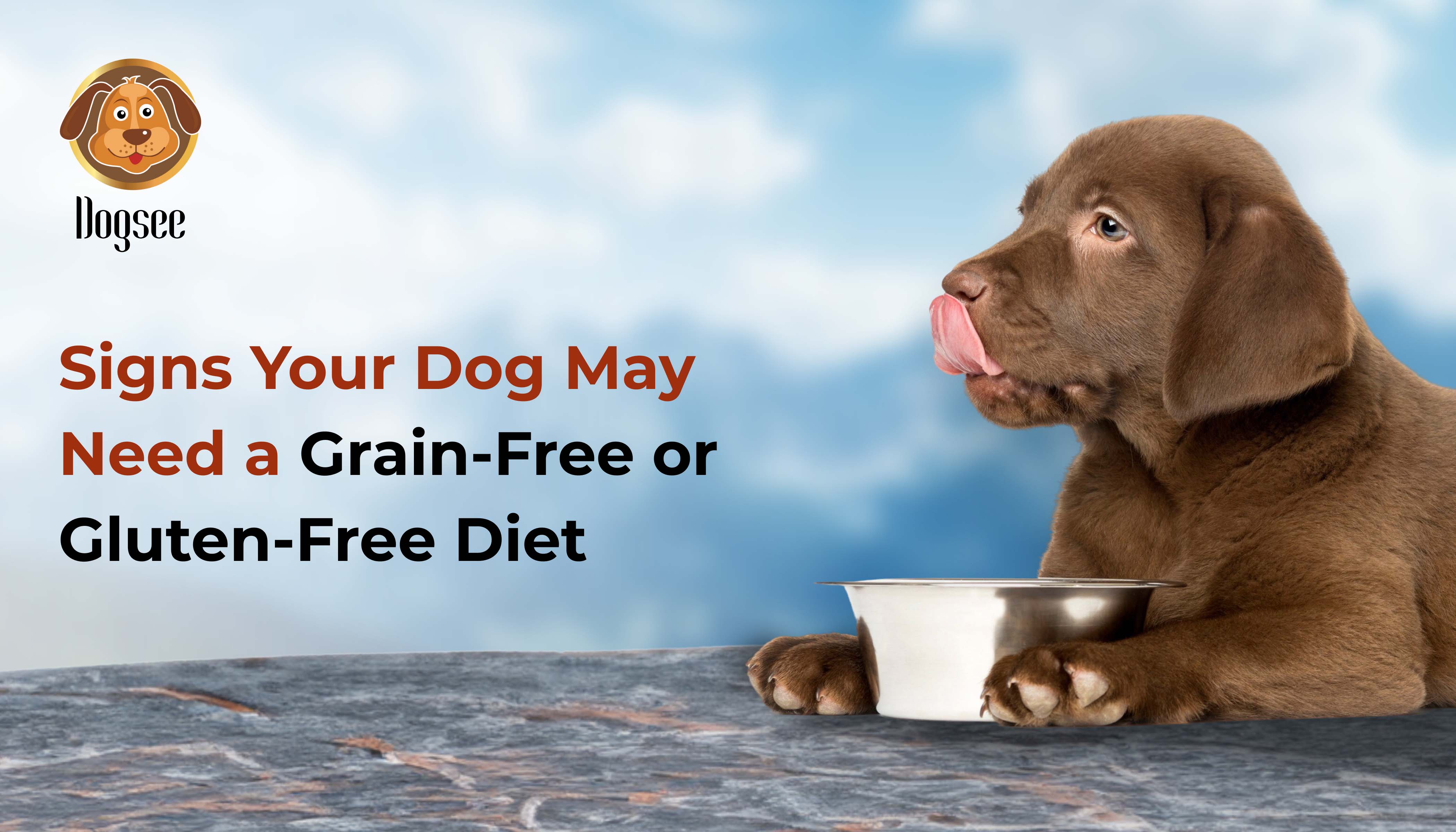 dog signs need grain or gluten free diet