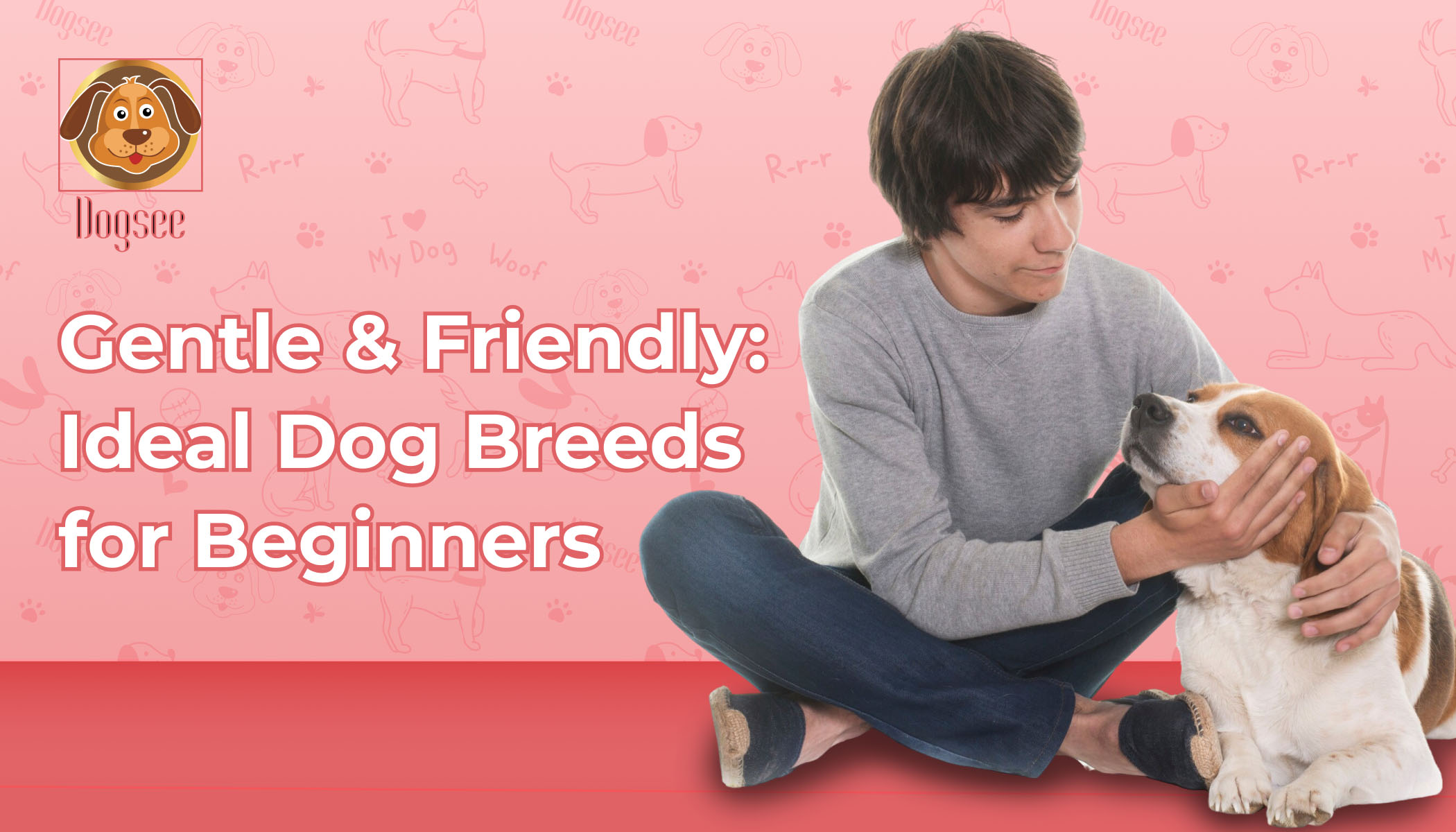 Gentle & Friendly: Ideal Dog Breeds for Beginners