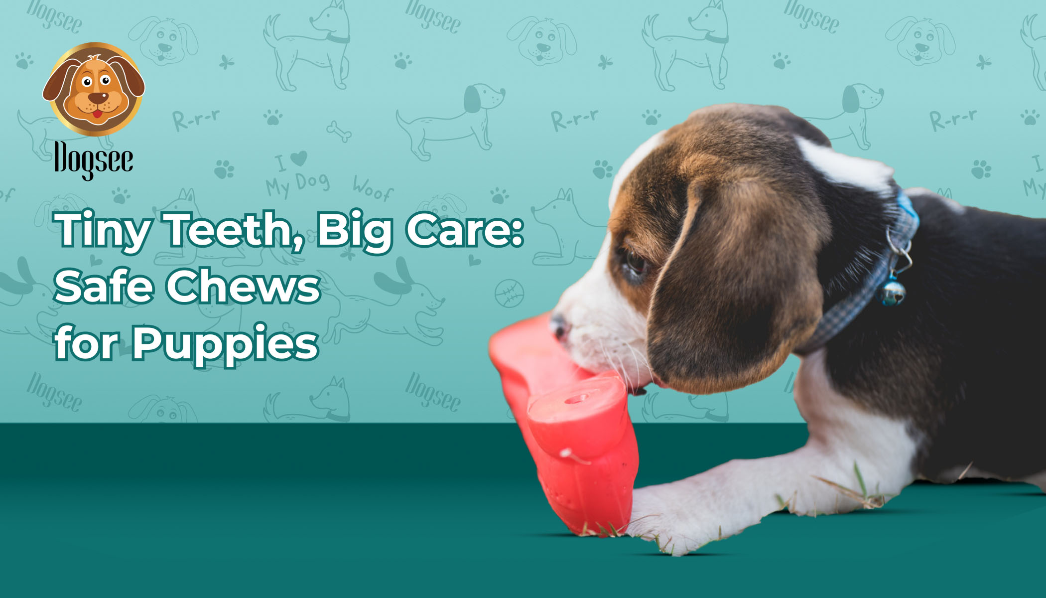 Safe Chews for Puppies