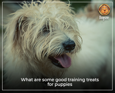 Good Training Treats for Puppies
