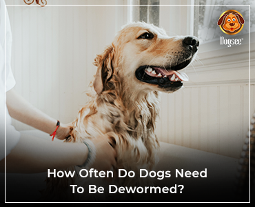 when should you deworm your dog