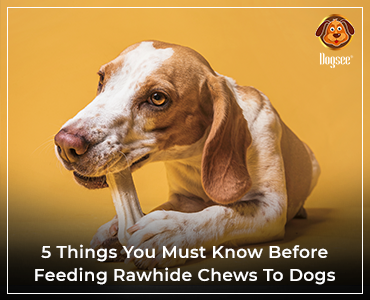 can rawhide make dogs vomit