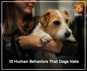10 Human Behaviors That Dogs Hate