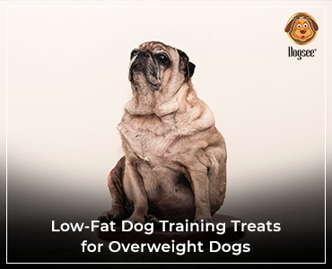 Low-Fat Dog Training Treats: The Best Treats For Overweight Dogs