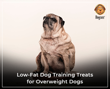 Best treats for overweight dogs deals