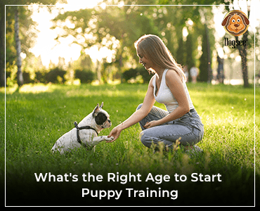 puppy training treats