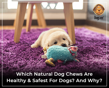 natural dog chews