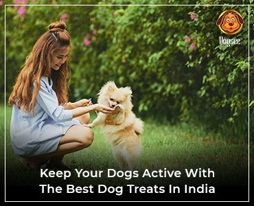 Keep your dogs active with the best Dog Treats in India