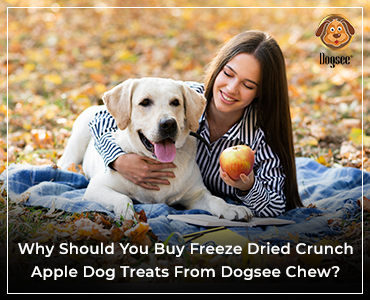 apple dog treats