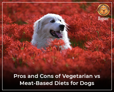 Pros and Cons of Vegetarian vs Meat-Based Diets for Dogs | Dogsee