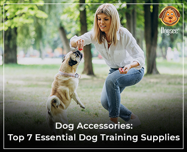 Top 7 Essential Dog Training Supplies