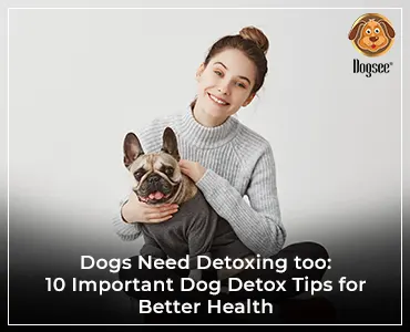 Dogs Need Detoxing Too: 10 Important Dog Detox Tips for Better Health | Dogseechew