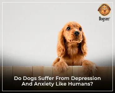 dog depression