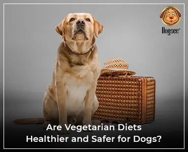 vegetarian food for dog