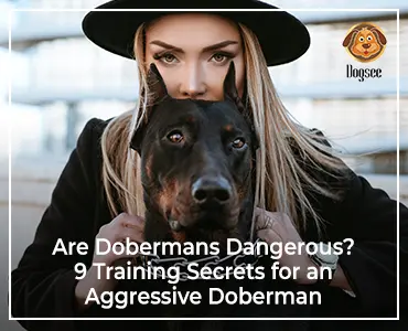 Doberman Temperament