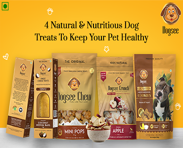 4 Natural & Nutritious Dog Treats from Dogsee Chew