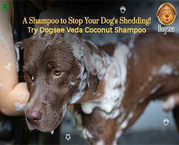 Coconut Dog Shampoo