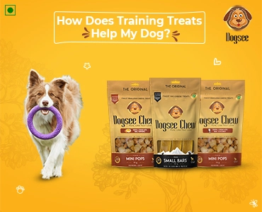 Explaining how does training treats help for a dog