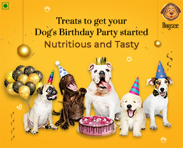 Dog's Birthday Party